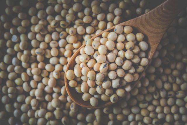 Good quality soya bean for oil , soybean , Soybean Seeds with reasonable price - Image 5