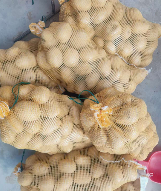 New Best International High Quality Organic Yellow Fresh Potatoes Natural Farm Grown Bulk Wholesale for Export Restaurants - Image 3
