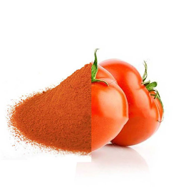 Spray Dried Tomato Powder Form Powder Grade Premium Packaging 20 Kg Box Shelf Life 12 Months Storage Type Cold Storage Processing Type Spray - Image 2