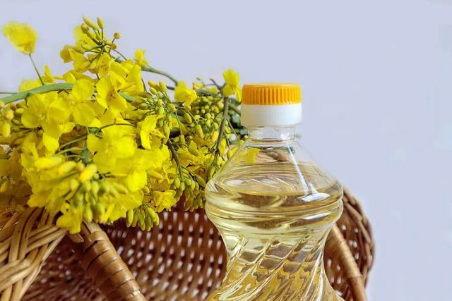 Rapeseed oil (vegetable oil), for frying, baking and cooking - Image 1