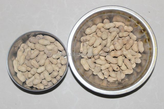 PEANUT OIL EXTRA VIRGIN 2022 CROP – product photo 4, product detail gallery