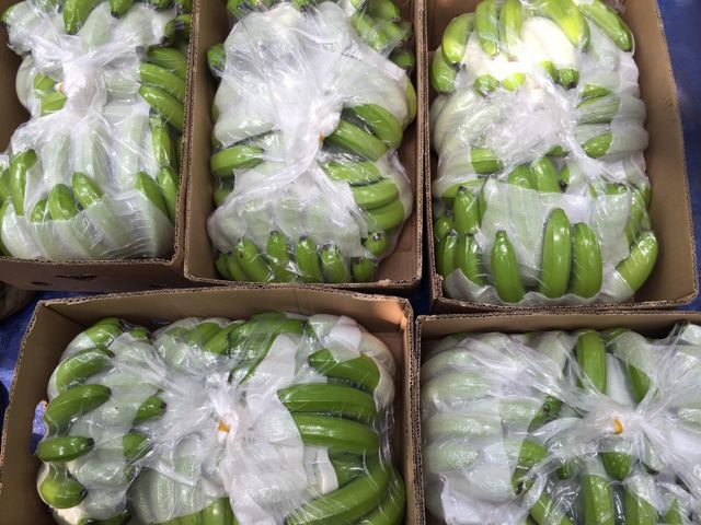 Fresh cavendish Banana - Image 4