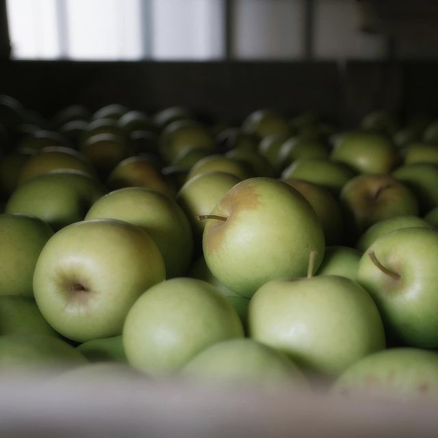 Quality Golden Delicious apples available - Image 3