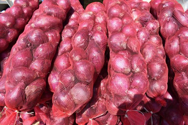 Red Onion - Image 1