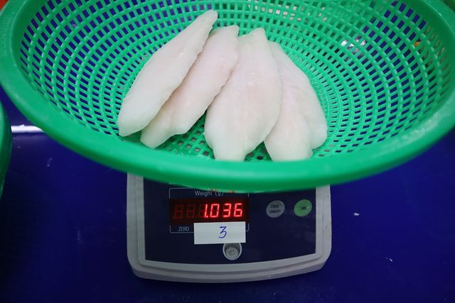 Pangasius fillet fish frozen fish seafood from Vietnam - Image 3