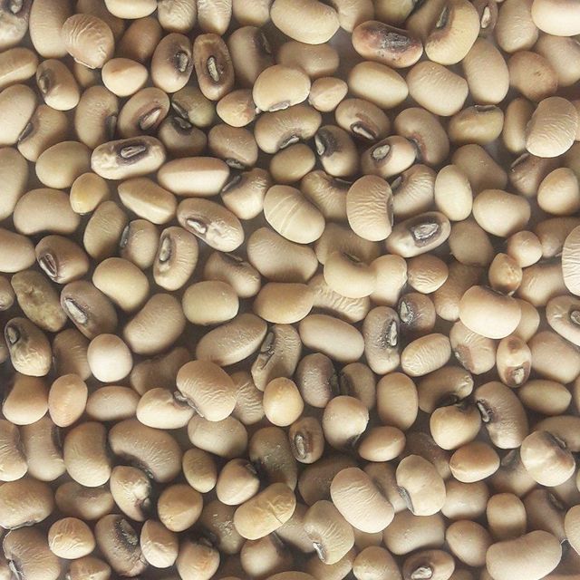 Premium Dried Legumes Export Quality Black Eyed Peas Natural Selection With Clean Processing And Packaging - Image 3