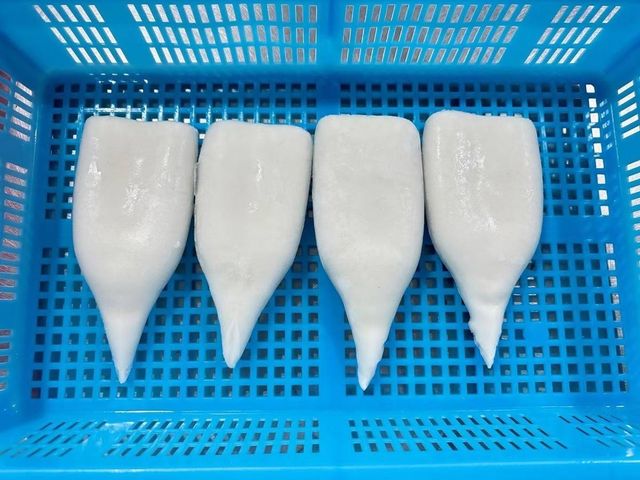 Frozen Squid Processed Marine Seafood For Restaurant Ingredient Sourcing Frozen Food Distributors And Export Markets - Image 5