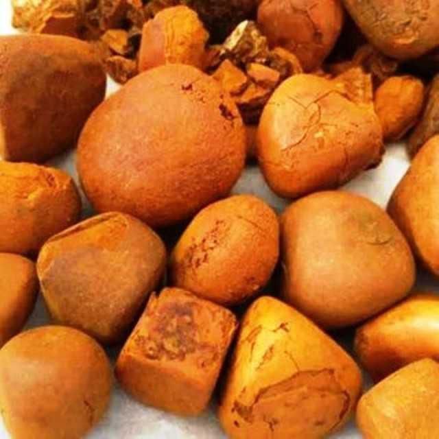 Quality Light Yellow Cattle Bladder Gallstones 100% Whole Stones Top Grade Food Use Available - Image 3