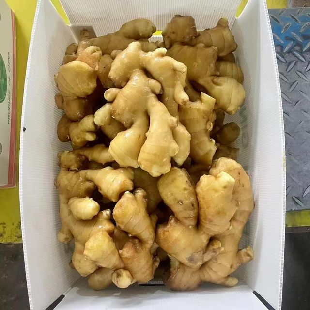 Fresh Bulk Ginger - Image 4