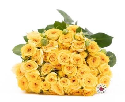 Fresh Cut Flowers Port Port of Mombasa Place of Origin Kenya Material Natural and Organic Packaging Box. Each box has 300 stems - Image 3