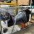 Used Yamaha 4-stroke Outboard Boat Motor 6hp 9.9hp 15hp 20hp 25hp 60hp CE Certified Marine Gasoline Engine - Image 5