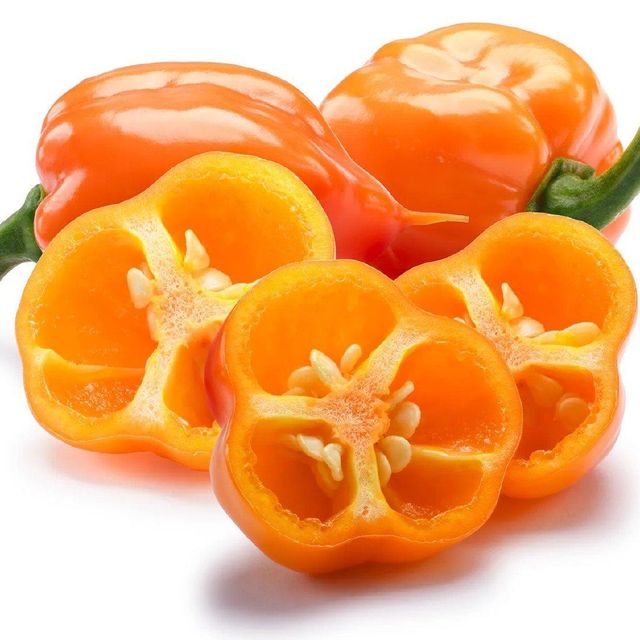 STOCK EXPORT Fresh Green Bell Peppers-Wholesale Organic Habanero with Sweet Flavor High Quality 5/10kg Carton - Image 4
