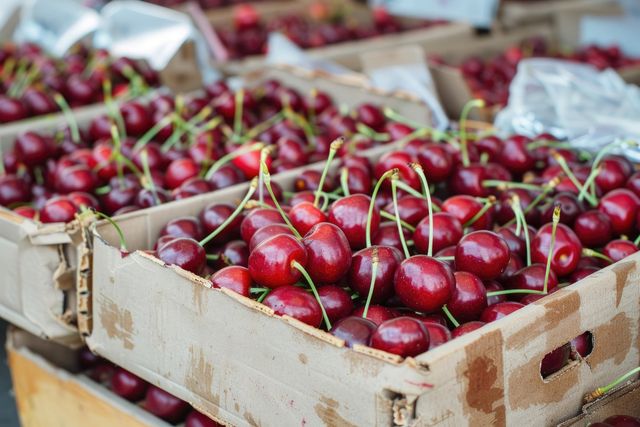 Organic Fresh Cherries Wholesome Natural Cultivation Quality Natural Fresh Cherries for Sale - Image 2