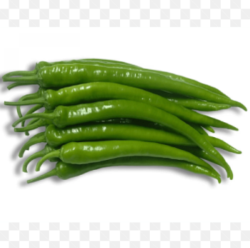 Fresh Green Chili Grade A Packaging bag Heat Level Strong Color Vibrant Green Storage Temperature 7–10°c Varieties Bullet Chili, Long Chili - Image 1