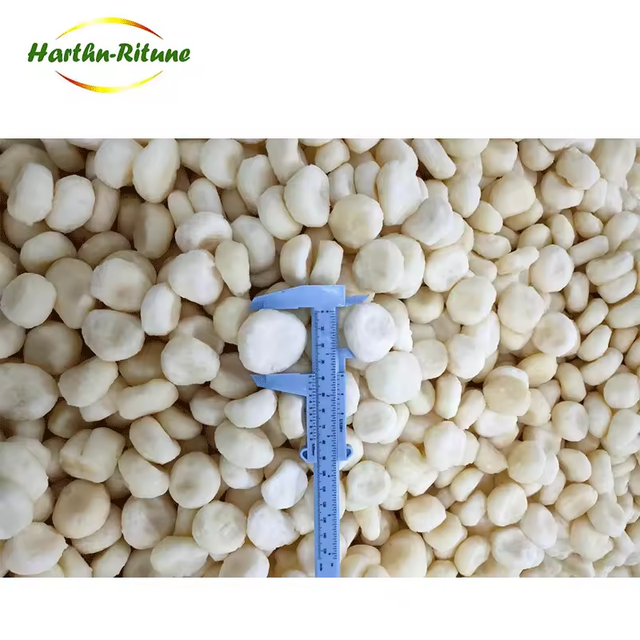 Hot selling organic bulk frozen chestnut IQF frozen water chestnuts - Image 4