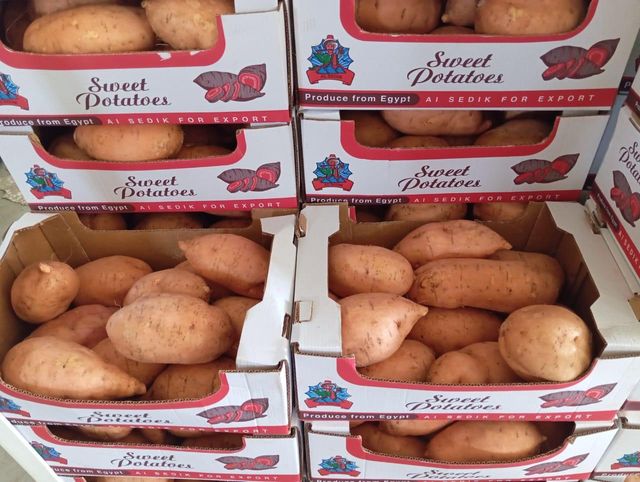 Sweet potatoes Organic No Freshness Level Fresh - Image 5