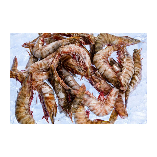 Premium Frozen Tiger Prawns – Multi-Size Box Packaging for Wholesale Supply - Image 4