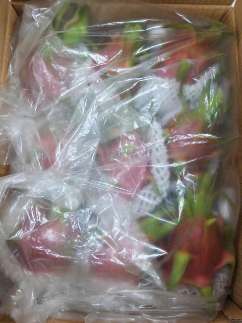 Dragon Fruit - Image 6