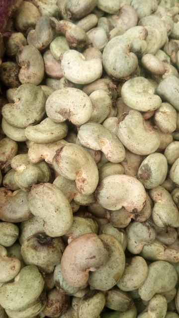 Raw Cashew nuts - Image 3