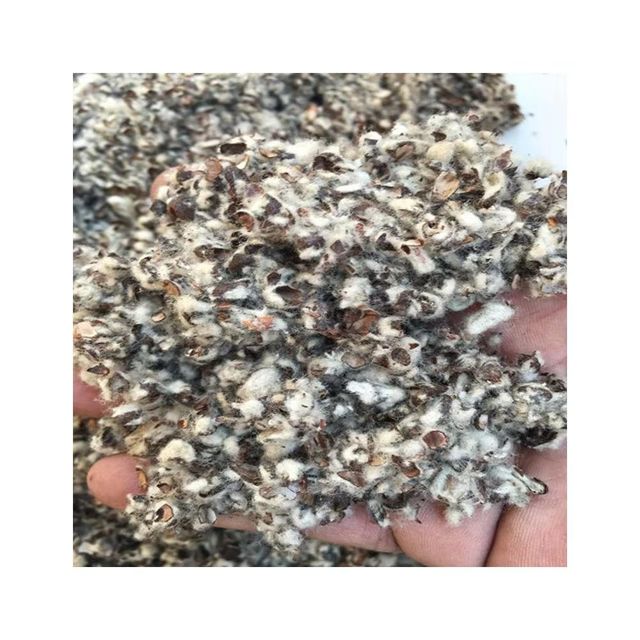 Cottonseed Hulls High Fiber Livestock Feed Ingredient With Natural Roughage Content For Dairy Cattle And Farm Nutrition - Image 4