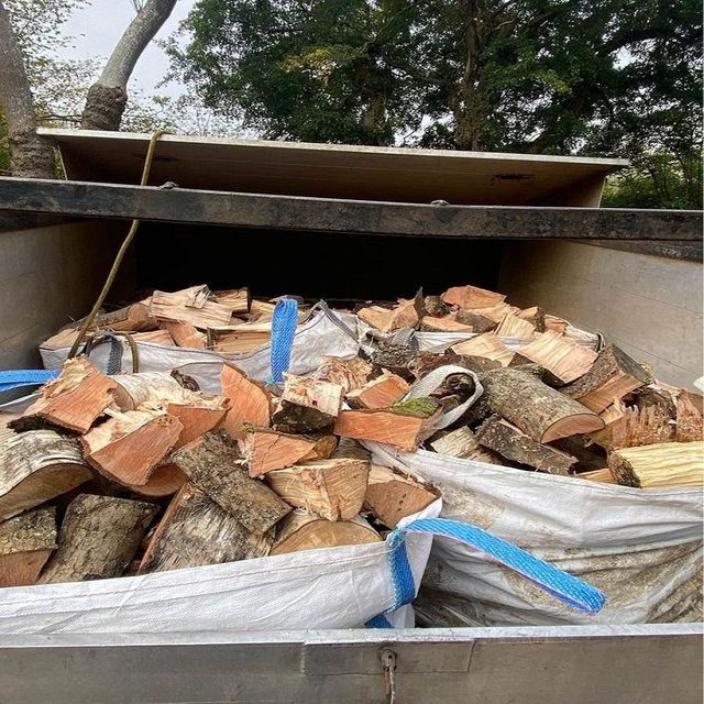 Wholesale Kiln Dried Firewood - Superior Seasoned Hardwood Logs - Image 4