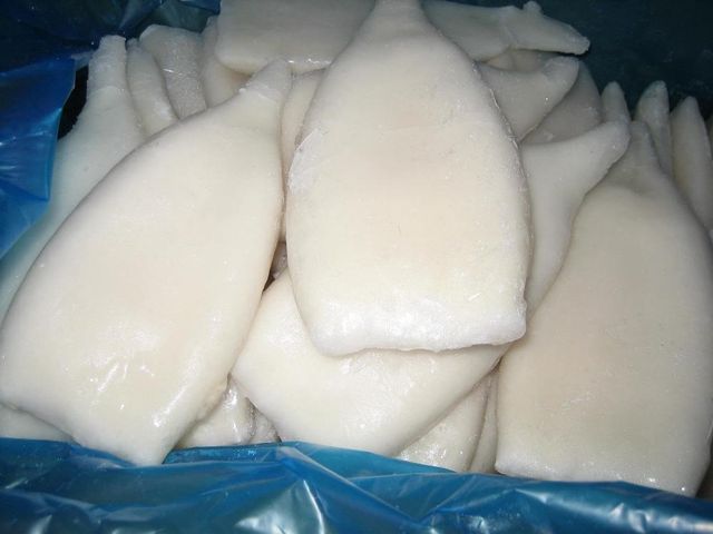 Premium Frozen Squid Whole Cleaned Seafood Export Quality Frozen Squid For Food Service Distribution And Wholesale Supply - Image 5