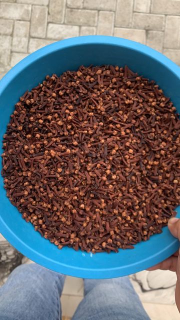Whole Clove Ab6 Premium Quality Aroma Rich Grade Ab6 Premium Moisture Content ≤ 12% Oil Content Minimum 15% (v/w) Purity 100% Natural, No Foreign - Image 3
