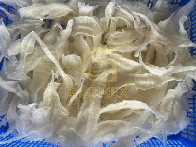 Premium Dried Fish Maw - Ready to export for Chinese cuisine - Image 1