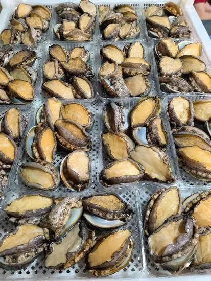 Frozen Abalone Frozen Seafood Wholesale Abalone with Shell Abalone - Image 4