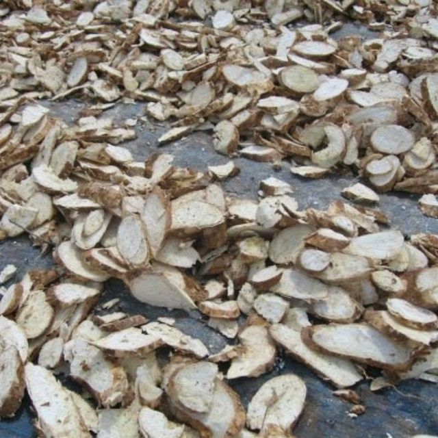 PEELED CASSAVA CHIPS - Image 2