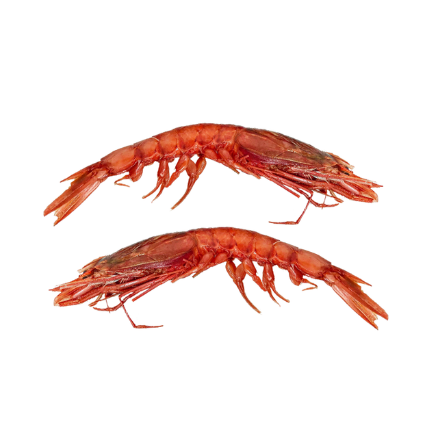 Frozen Fresh Red Shrimps Rich Seafood Protein Source With Advanced Freezing Methods For Fresh Market Delivery - Image 2