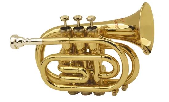 Pocket Trumpet / Bb Trumpet / Trumpet Age Adults Brand Forest Origin China Color Silver Trademark OEM Certification SGS HS Code - Image 2