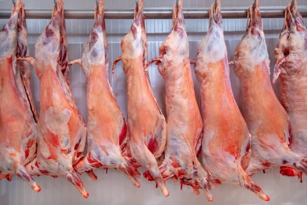 Fresh Frozen Goat/Mutton Carcass and Cuts - Image 1