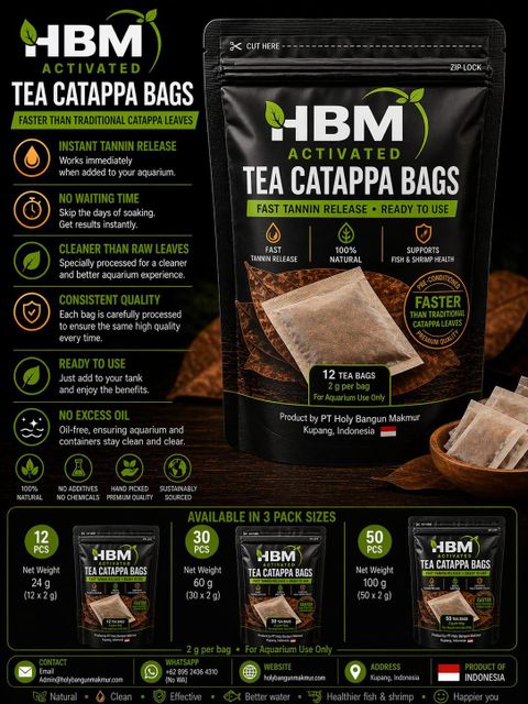 HBM Activated Tea Bags Catappa for aquarium use not human consumtion 100 Natural no chemical or addictive - Image 1
