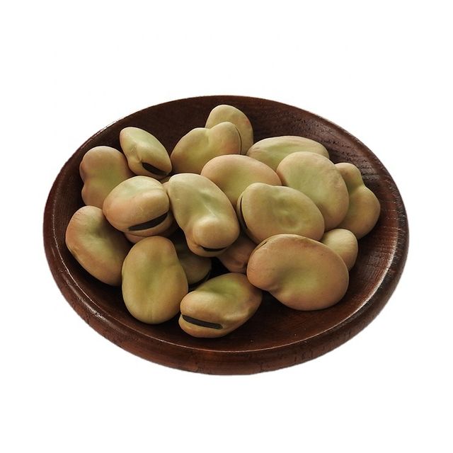 High Quality canned Broad Beans/ Fava Beans With Competitive Price 16mm - Image 1