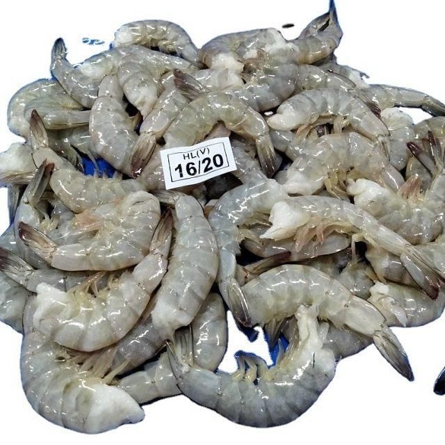 Frozen Shrimp High Quality IQF Frozen Raw Black Tiger Prawn Wholesale Seafood - Image 2