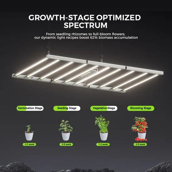 Full Spectrum LED Grow Light 1000W for Thriving Indoor Plant Growth - Image 2
