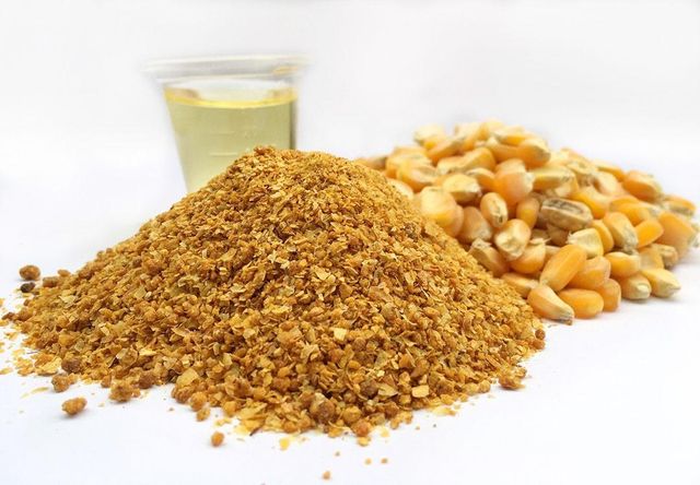 Premium Quality Distillers Dried Grains with Solubles for Livestock Feed | Fast Delivery & Wholesale Buy Options Available Now - Image 2