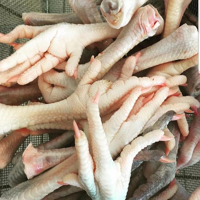 Hot Sale Frozen Chicken Feet High Quality Hygienically Processed Rich in Collagen for Food Processing and Export - Image 5
