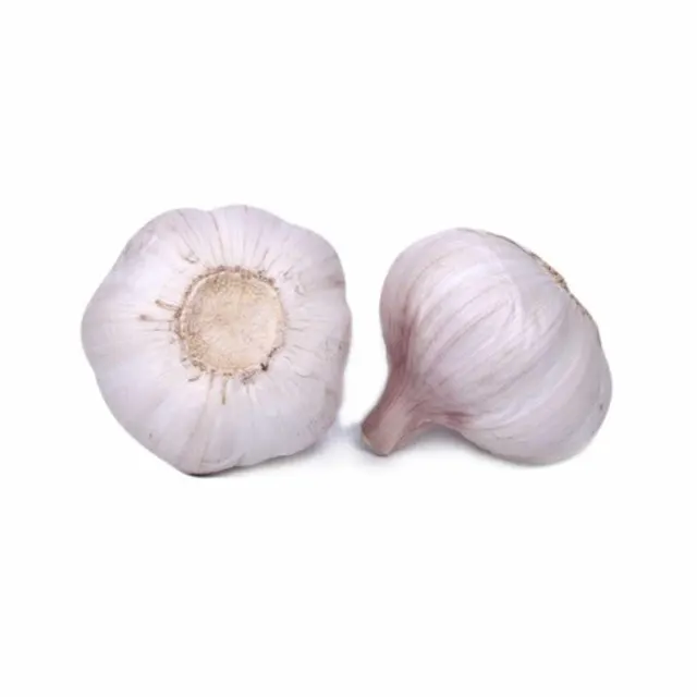 Garlic pure white garlic top grade snow white wholesale new crop fresh white garlic - Image 2