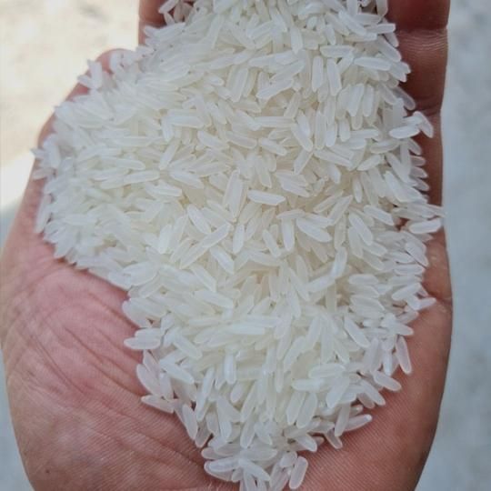 Jasmine Rice - Image 1