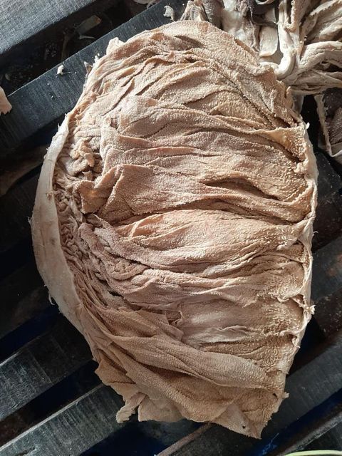 Organic Nature Frozen Beef Omasum Halal Certified Salted Buffalo Tripe Stomach Low-Fat Bulk Vacuum Pack IQF Export - Image 2