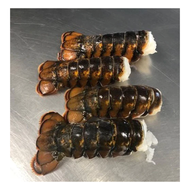 Low price frozen lobster tails positioned for bulk sale opportunities - Image 3