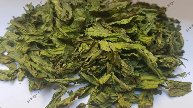 Peppermint & Spearmint Type herbs Drying Process sun Size Whole leaves, CC, TBC, & - Image 4