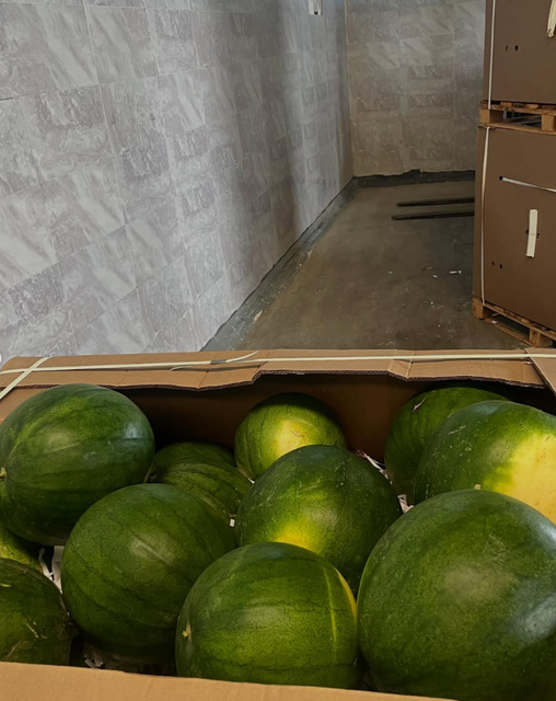 Watermelon🍉 Grade 1 Form Egypt Texture Juicy Flavor Naturally Sweet And Hydrating Packaging Package: As per client requirements - Image 3