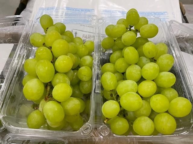 Fresh Seedless Grapes Superior with High Quality and Best Price - Image 4