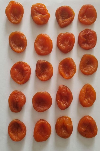 Organic Dried Apricots – Uzbekistan Origin | BIO Certified | Industrial & Retail Grade - Image 1