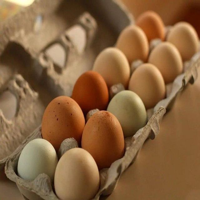 Farm-fresh Hatching Eggs From Customized for Global Agricultural Markets For Sale - Image 3