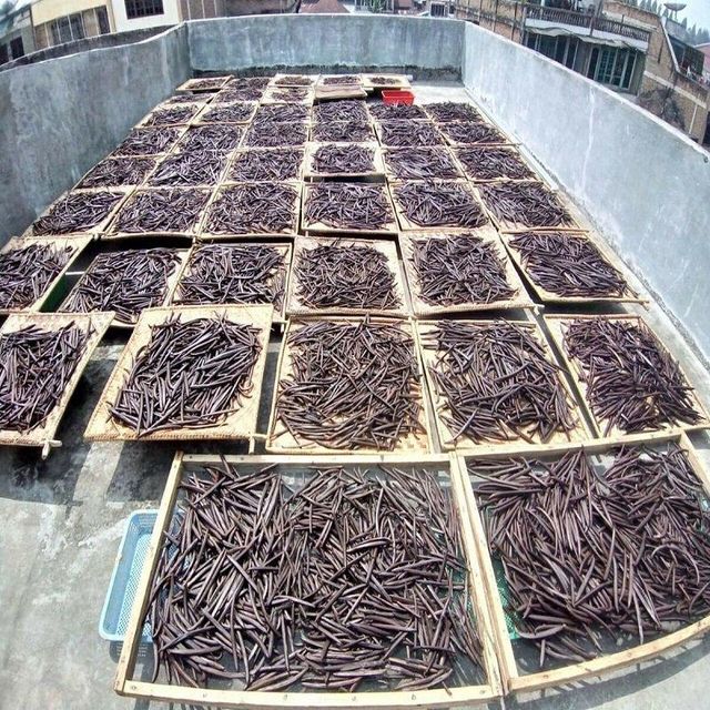Best Quality Certified 100% Organic Natural Dried Vanilla Beans 25kg 24 Months Shelf Life – product photo 4, product detail gallery