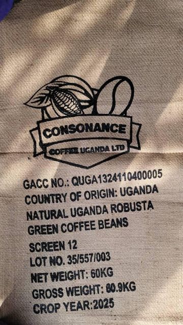 ROBUSTA COFFEE BEANS – product photo 2, product detail gallery